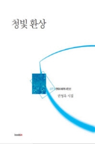 청빛 환상 (현대시세계 시인선 71)